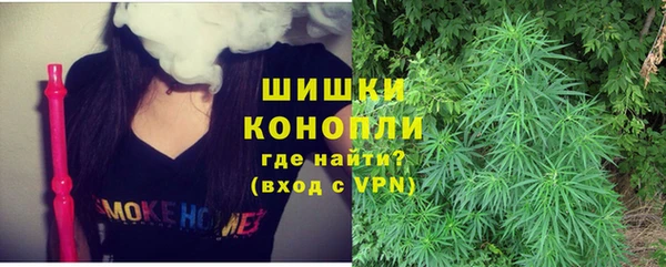 ГАЛЛЮЦИНОГЕННЫЕ ГРИБЫ Горнозаводск
