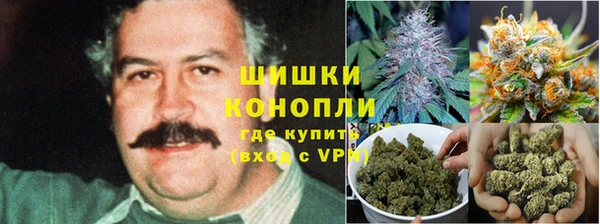марки lsd Горняк